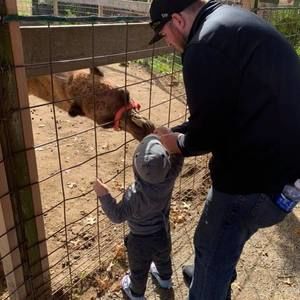 Meet your Posher, Josh